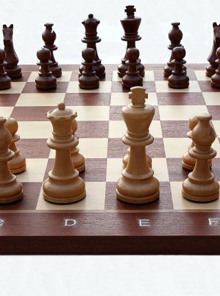 Двое саратовских шахматистов примут участие в Чемпионате России  по шахматам