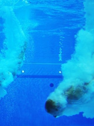 Саратовские спортсмены представят область на Кубке России по прыжкам в воду