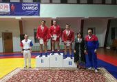Победители и призеры Чемпионата и Первенства ПФО по самбо