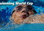 Кубок мира по плаванию